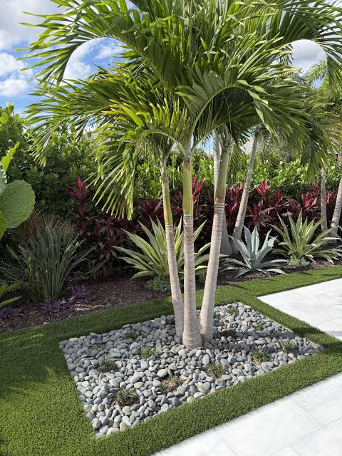 Yucca landscape plant in the Horizon Gardens yard